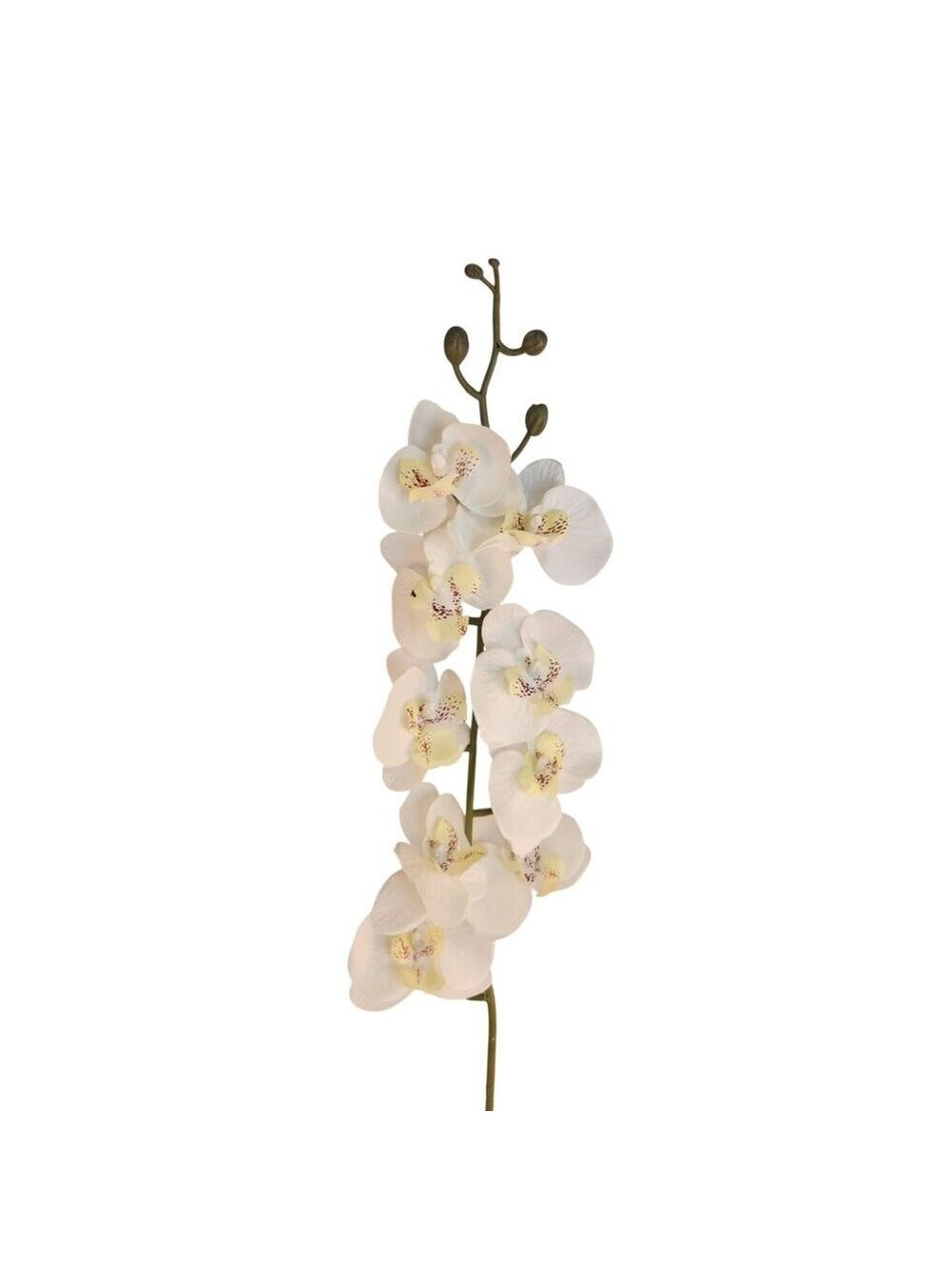 Artificial Phalaenopsis Orchid Stem White Tropical Flower Décor